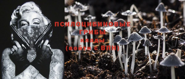 винт Баксан