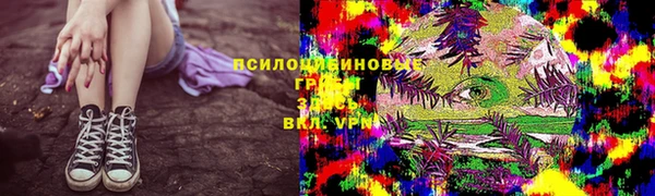 соль ск Балахна
