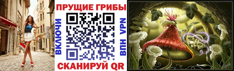 Псилоцибиновые грибы ЛСД  что такое наркотик  Севск 